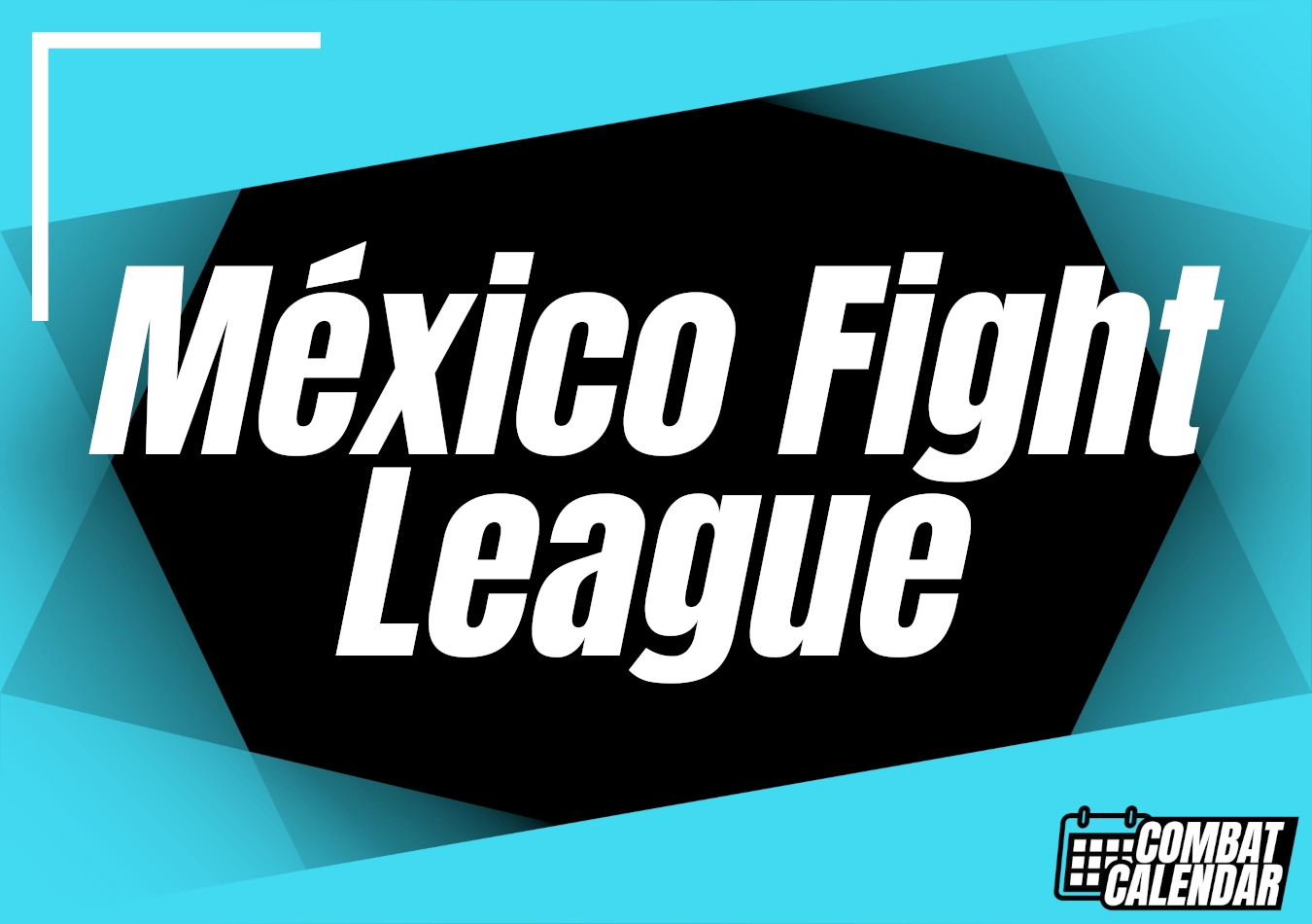 Mexico Fight League event thumbnail on Combat Calendar - upcoming combat sports events.